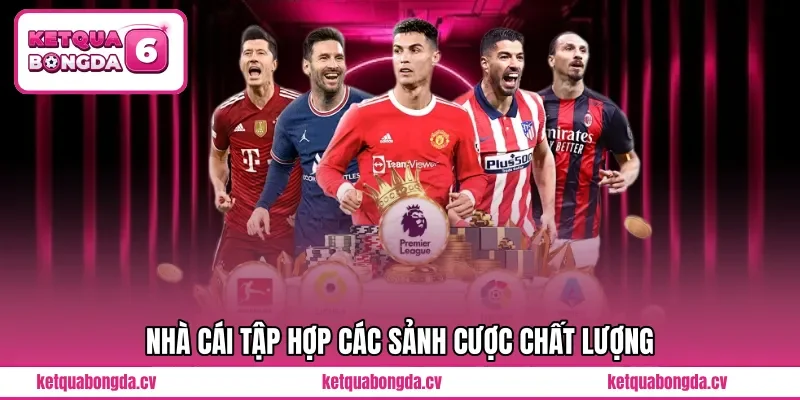 Nhà cái tập hợp các sảnh cược chất lượng